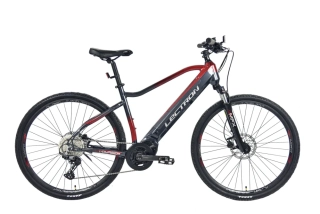 Elektrobicykel Lectron Voyager MFX 25Ah